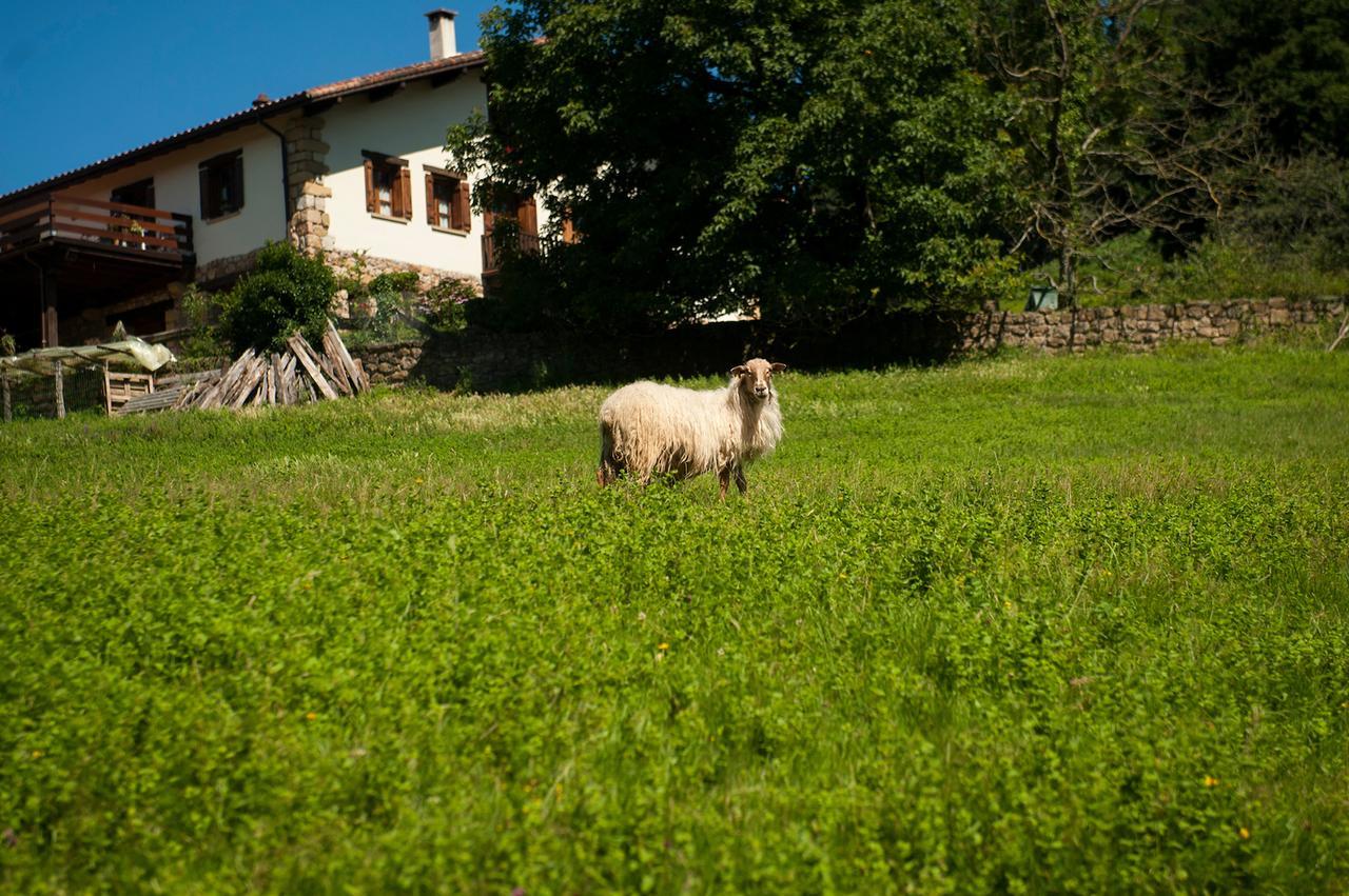 Maison d'hôtes Casa Peluaga à Oiartzun Extérieur photo